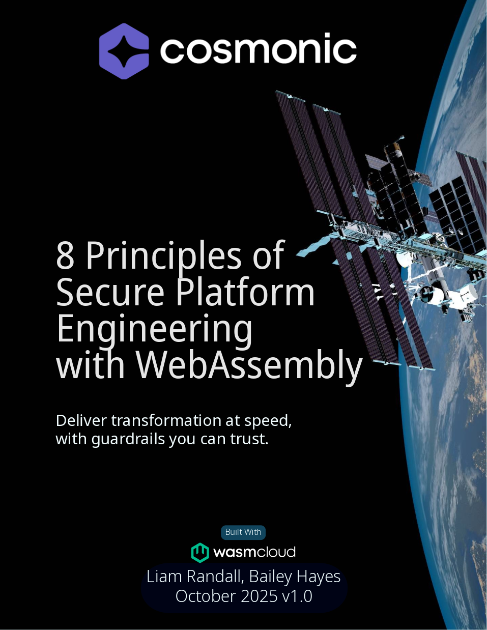 A white paper for the 8 principles of secure platform engineering with WebAssembly.