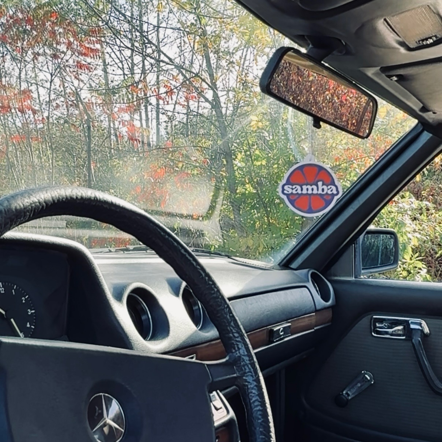 Air Freshner/ Sent-bon Samba