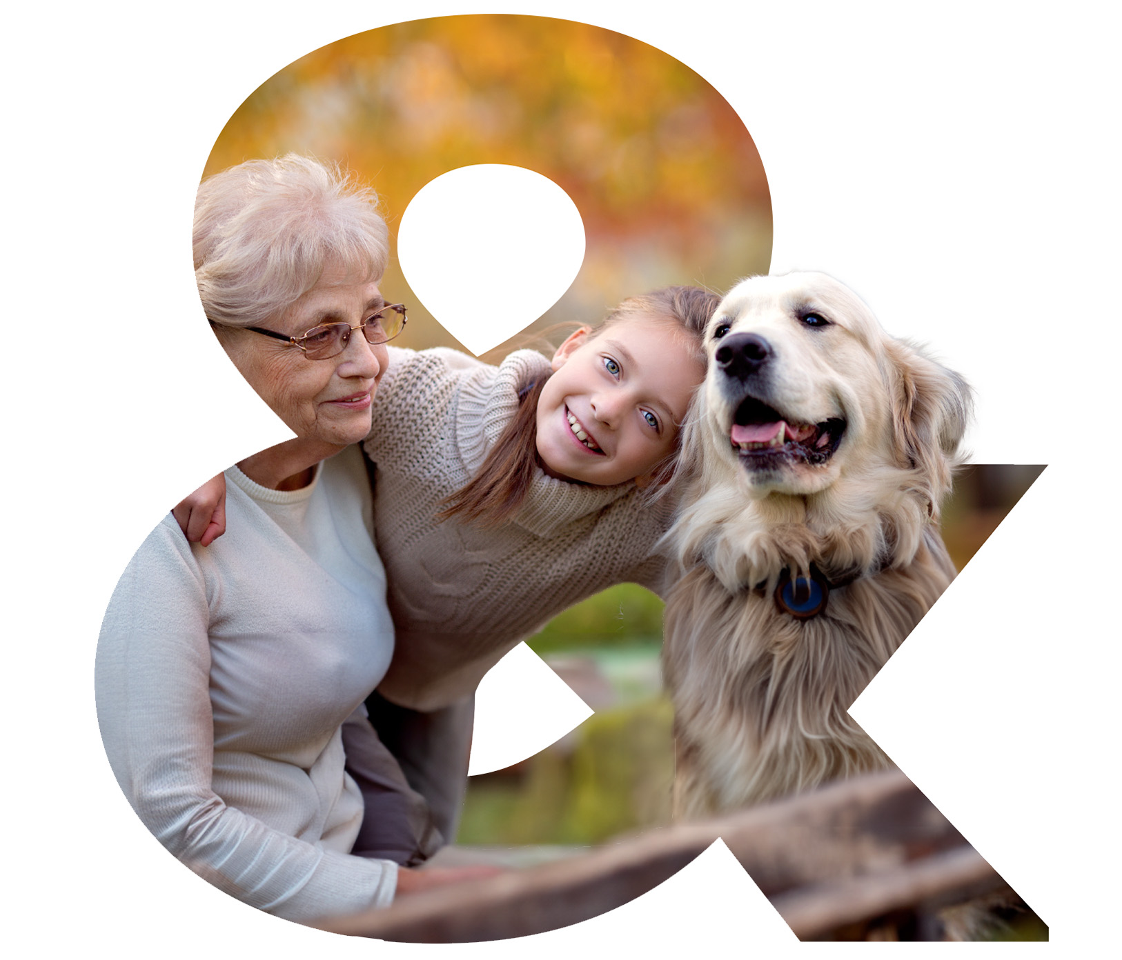 Une grand-mère, sa petite fille, et leur chien, un golden retriever