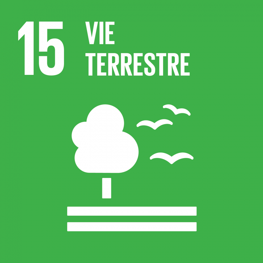 Icône de l'objectif de développement durable (ODD) numéro 15 : Vie terrestre