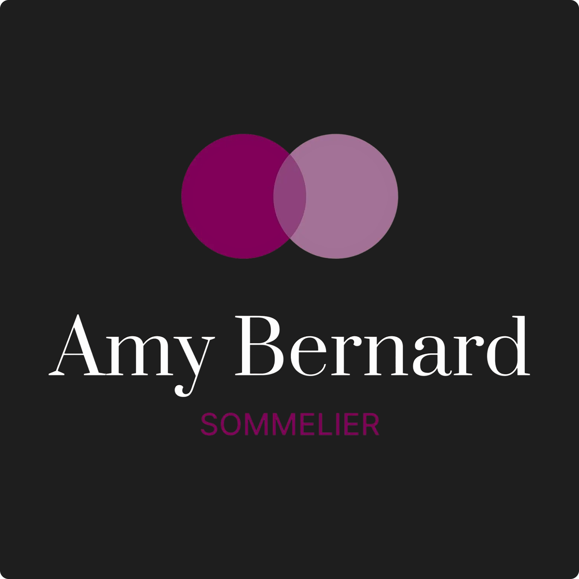 Converted a highly technical textbook to a chatbot with secondary RAG system for images that identified context of the images for proper retrieval