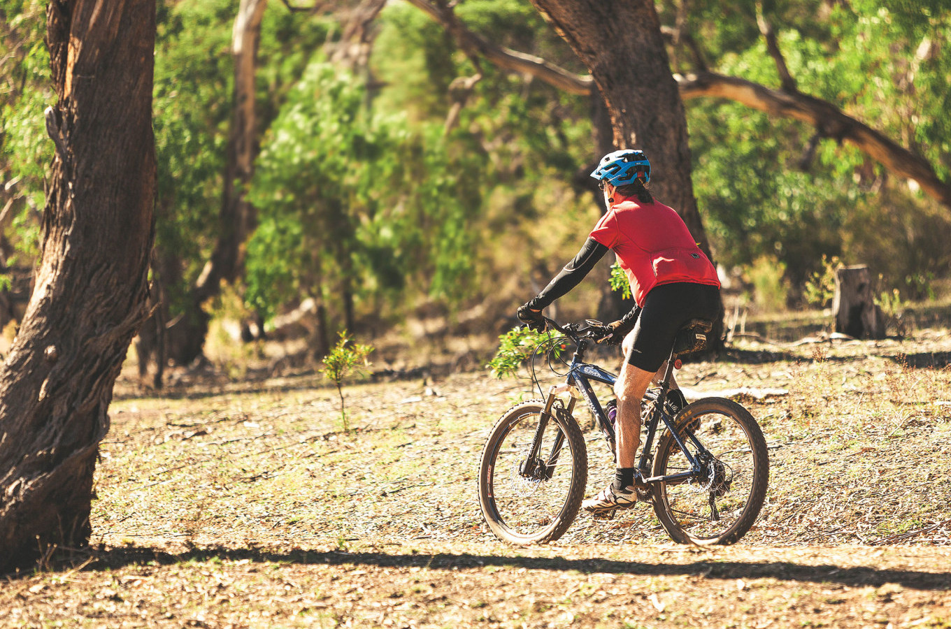 Cyclist wearing a red shirt and blue helmet riding a mountain bike through a sunlit forest trail.