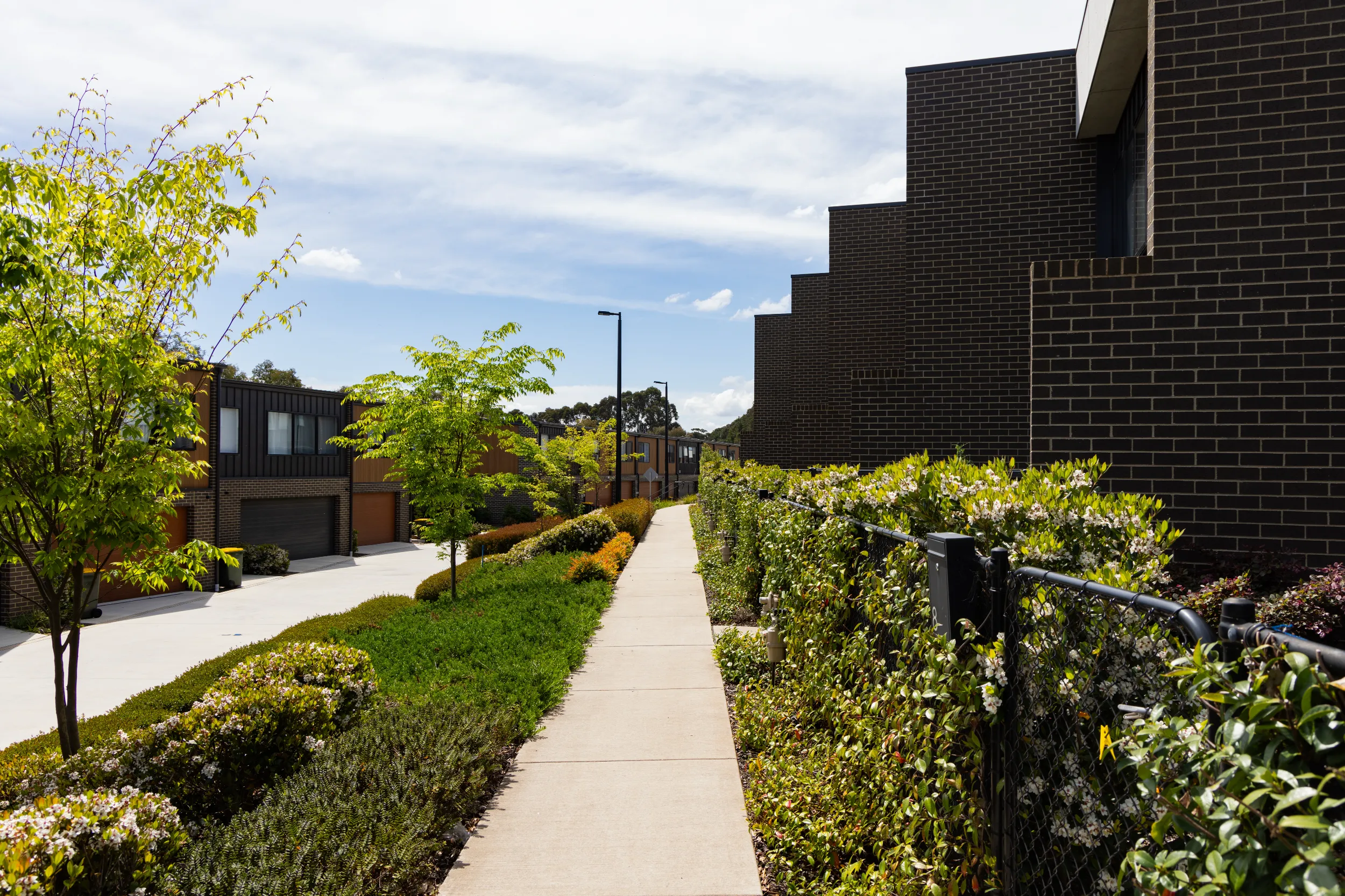 Sidewalk lined with green bushes and trees between modern townhouses with dark brick facades under a partly cloudy sky.