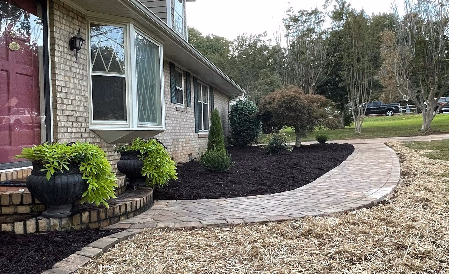 Landscape side of house with Plants