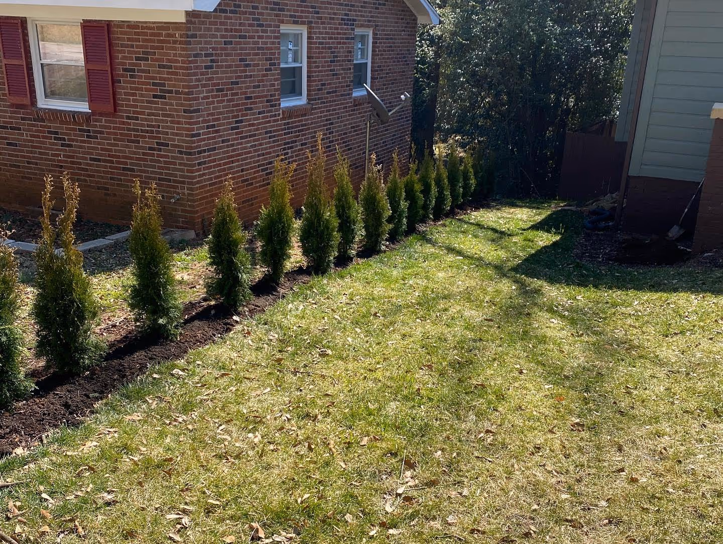 Landscaping with row of trees