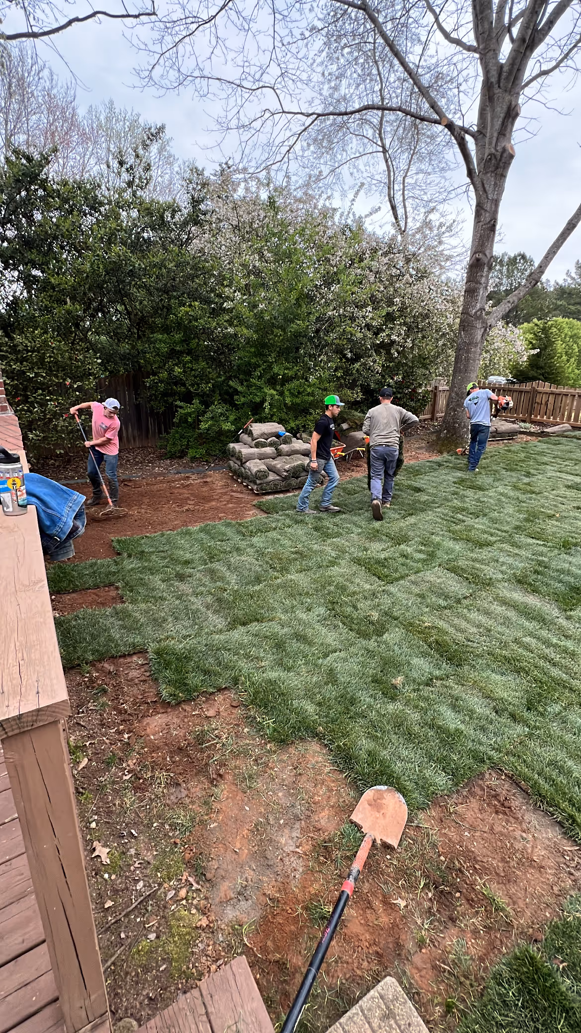 Workers laying fresh sod