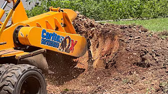 Stump Grinding, Paver Walkway, and Retaining Wall