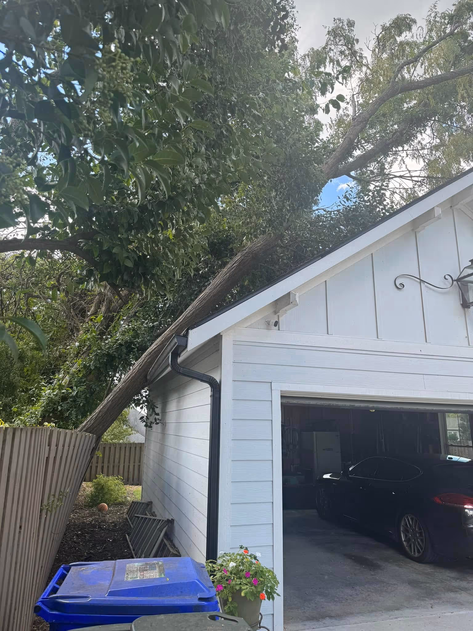 fallen tree in the garage