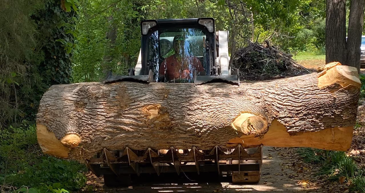 equipment lifting tree