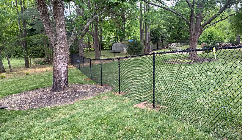 chain link fencing