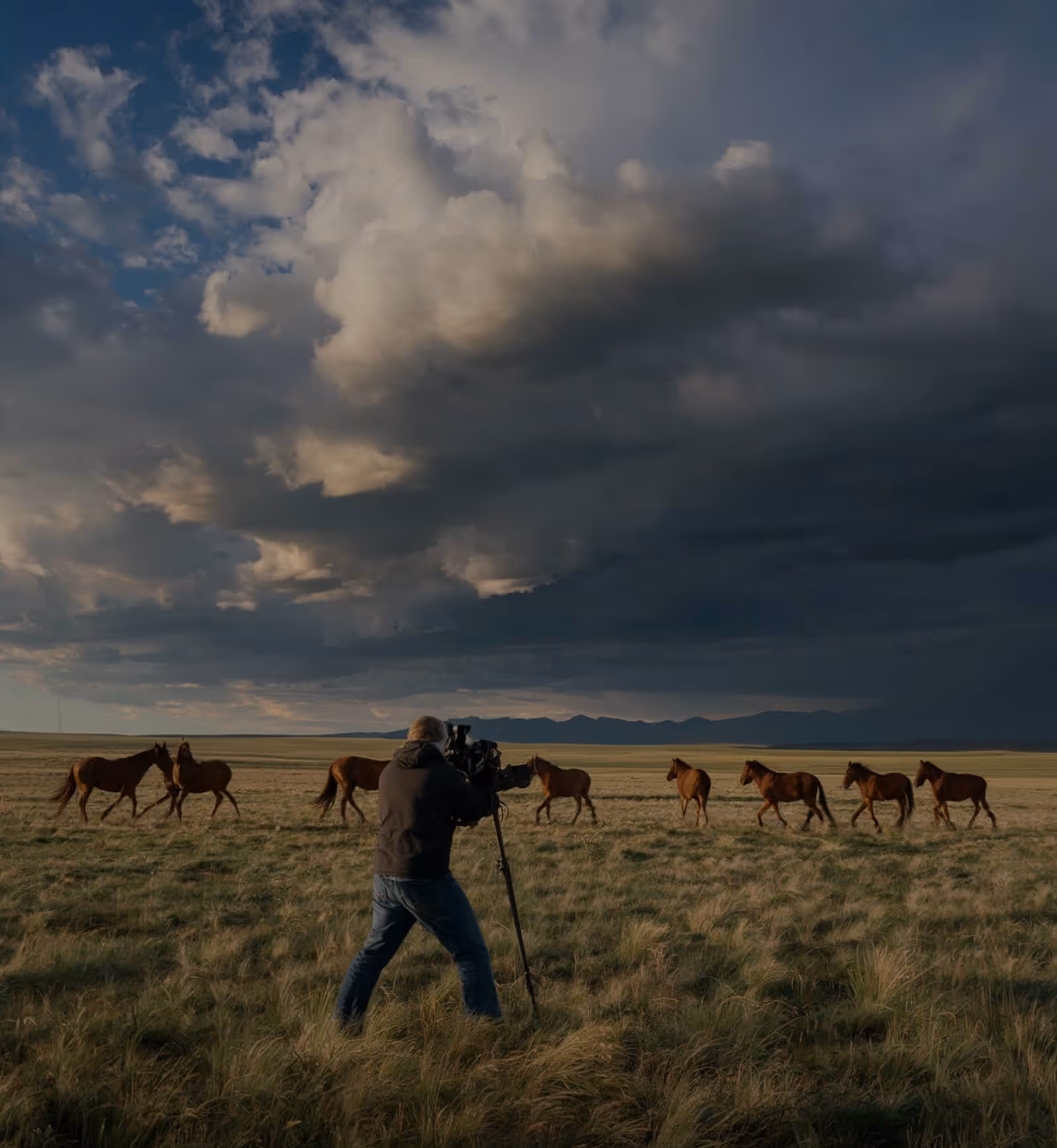 Join Our Team - Cinemaflow - Webflow Template | BRIX Templates