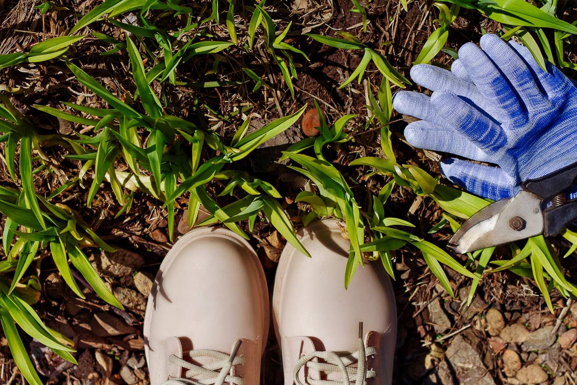 Top-down view of a gardener standing in a garden bed with green plants, wearing pale pink boots. To the right, a pair of blue-striped gardening gloves and pruning shears rest on the ground.