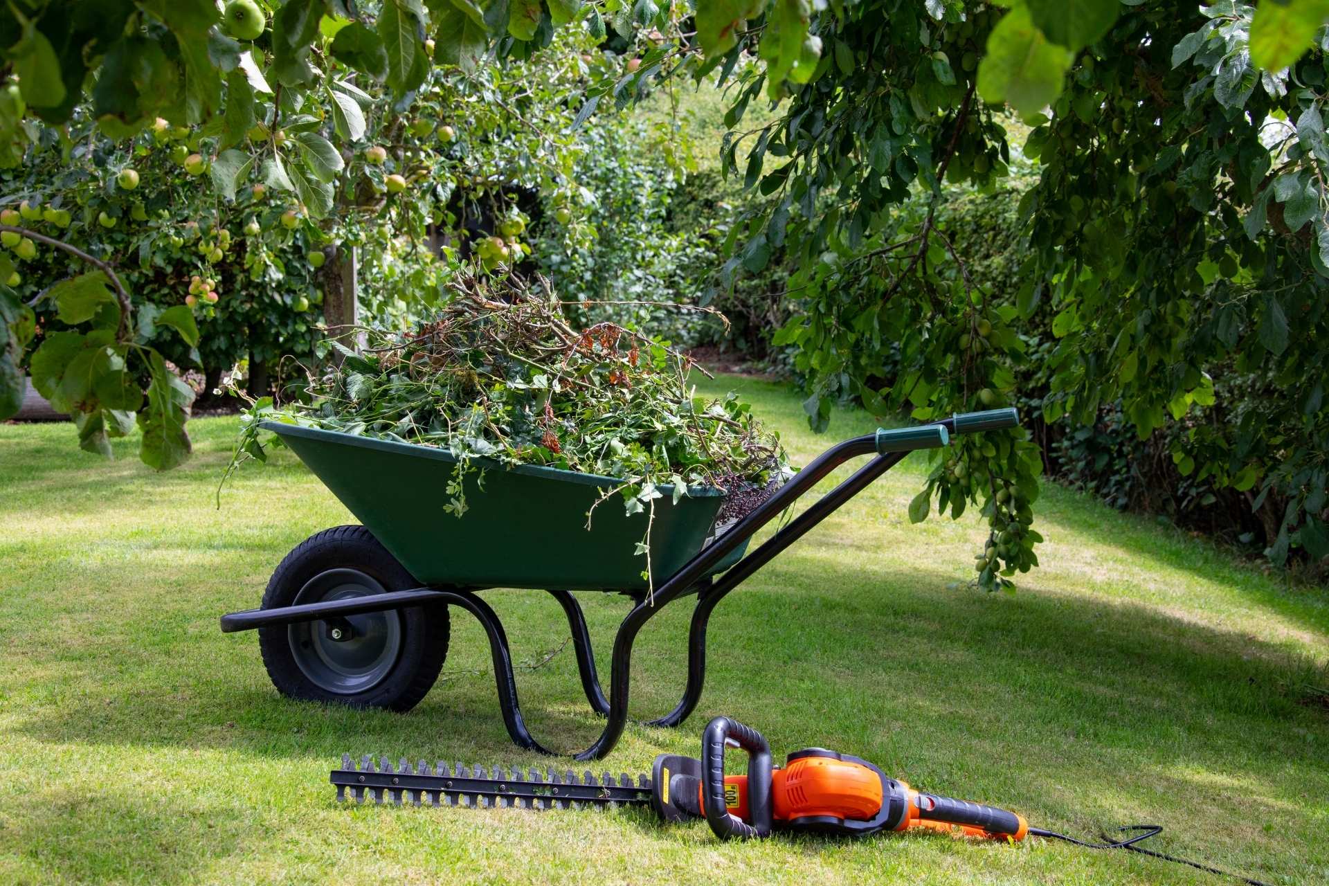 A wheelbarrow full of garden clippings sits on a lawn with a hedge trimmer in front, showing active garden maintenance work.