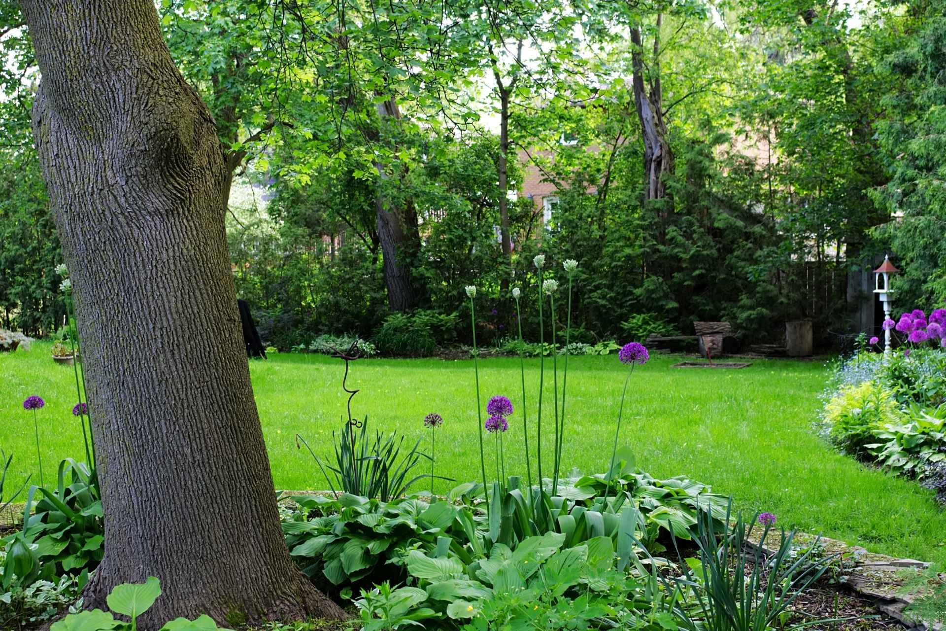 a lush green lawn surrounded by trees and flowers, highlighting the importance of garden maintenance