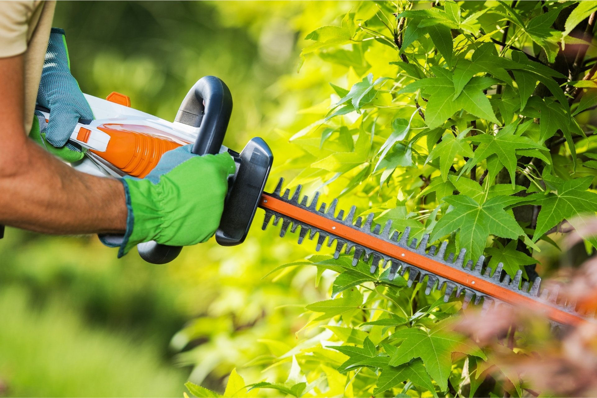 a person is using an electric hedge trimmer to trim a bush
