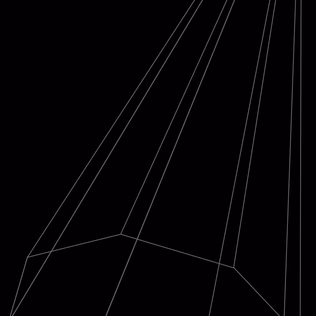Wireframe illustration of a faceted geometric shape on a black background.