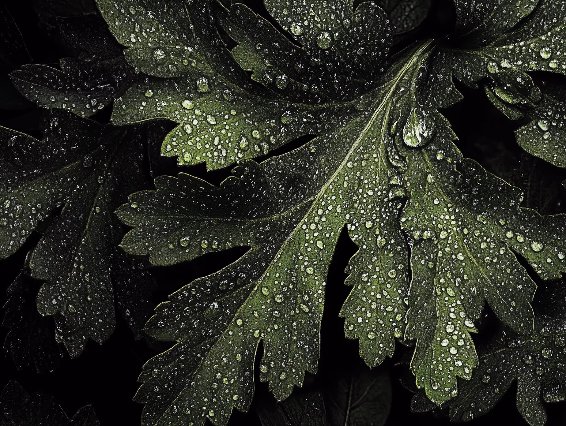 property management Background4