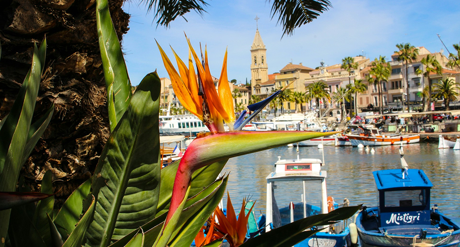 Vue du port de Sanary dans le Var ou se trouve le siège social de Provence Aide Services société d'aide à domicile varoise.