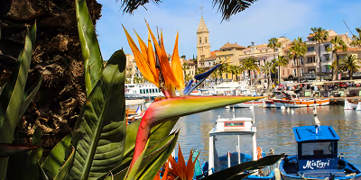 Vue du port de Sanary dans le Var ou se trouve le siège social de Provence Aide Services société d'aide à domicile varoise.