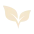 Minimalist icon of two cream-colored leaves sprouting from a stem on a transparent background.