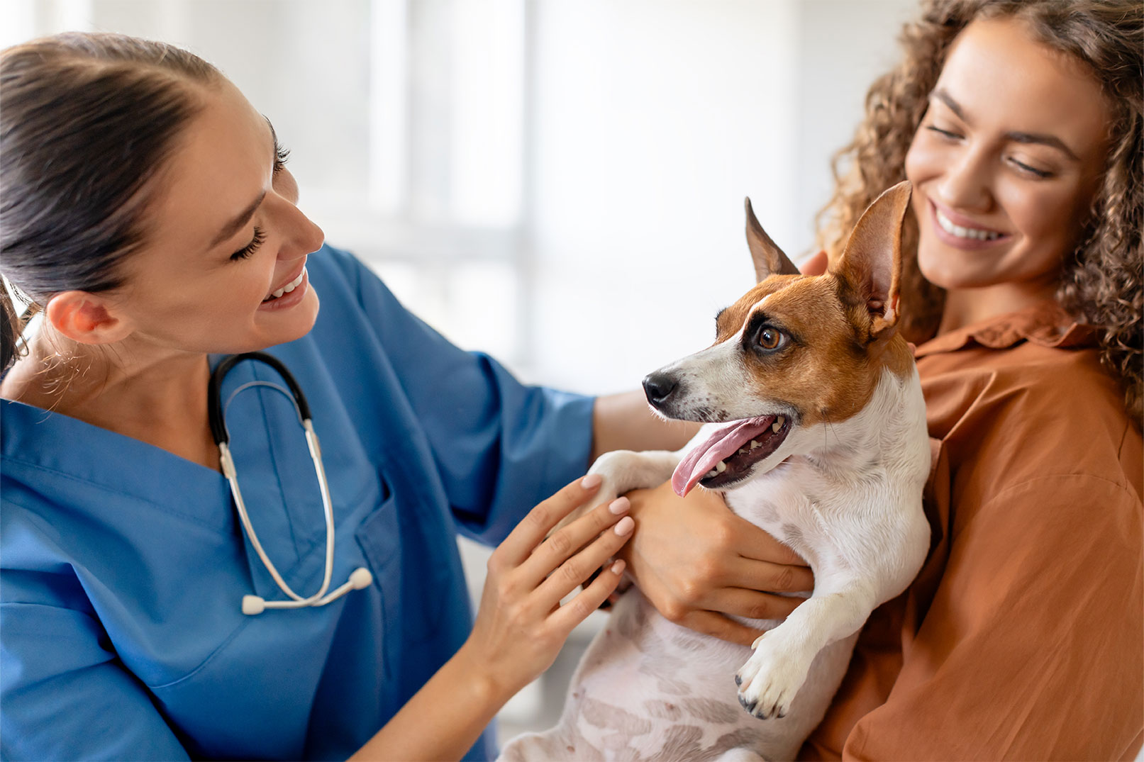 How to Stand Out When Applying for Veterinary Jobs in the UK