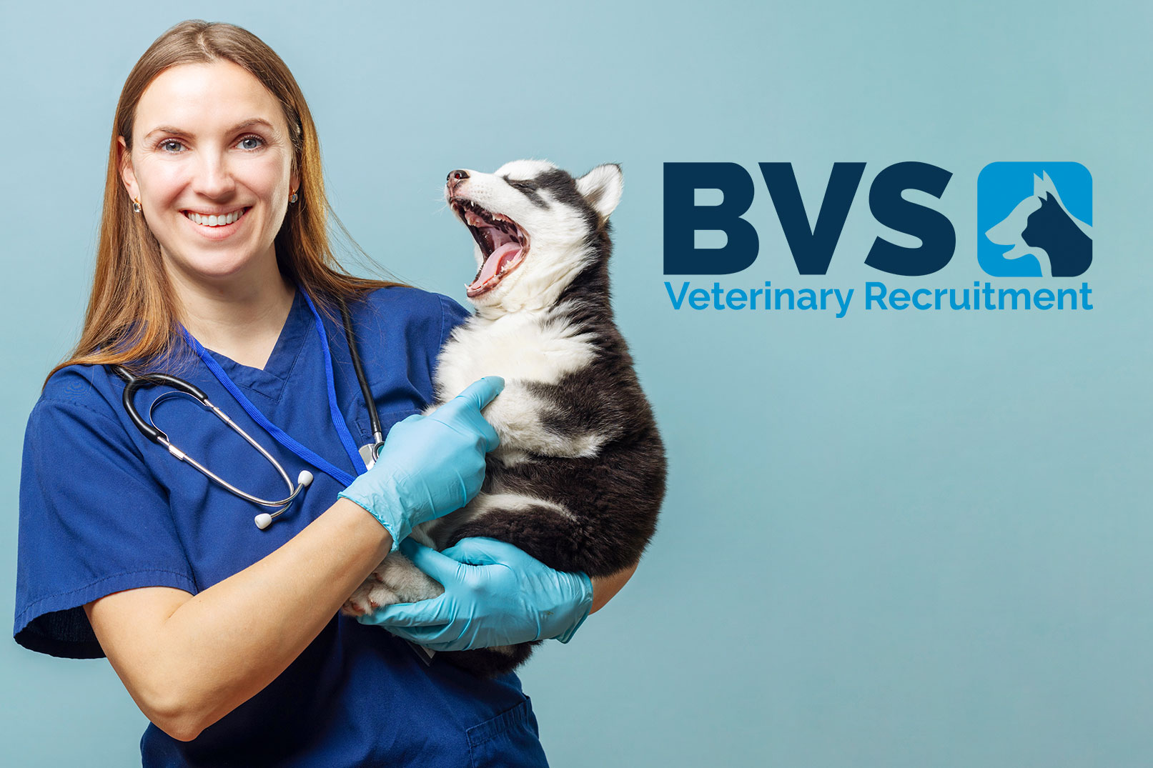The Rise of Veterinary Nurse Specialists: How the Role is Evolving