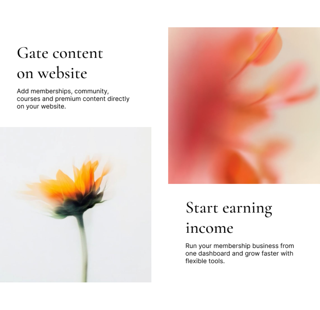 MemberSpace redesigned landing page hero section
