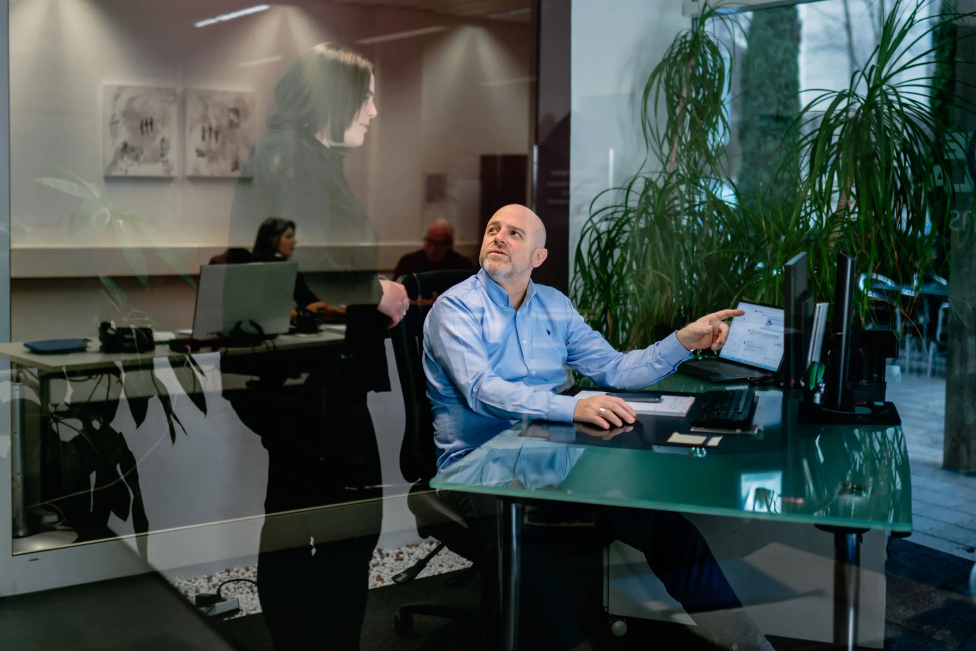 image of dealership history wall