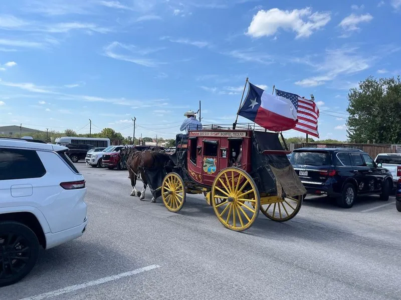 Horse drawn carriage with US and Texas state flags