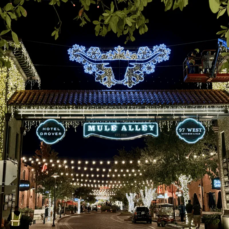 Photo of Mule Alley in the Stockyards, TX