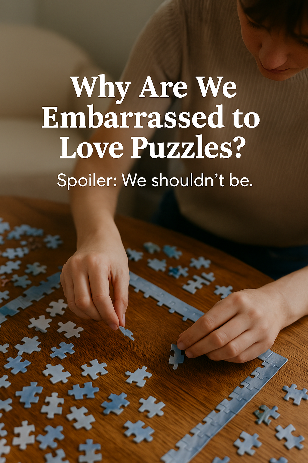 Why Are We Embarrassed to Love Puzzles