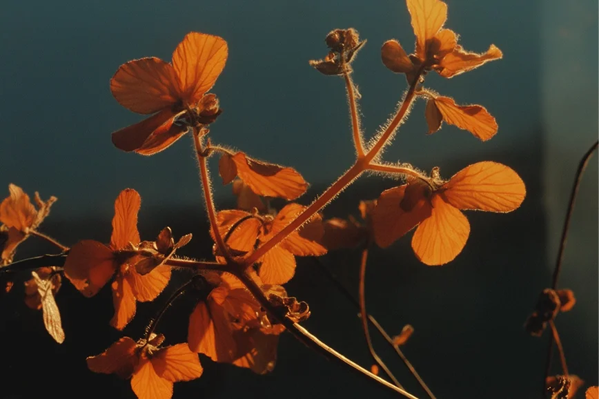 From Static to Smart: How Graphic Is Evolving