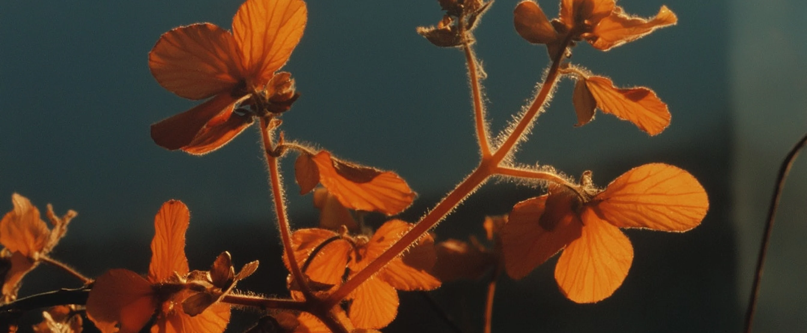 From Static to Smart: How Graphic Is Evolving