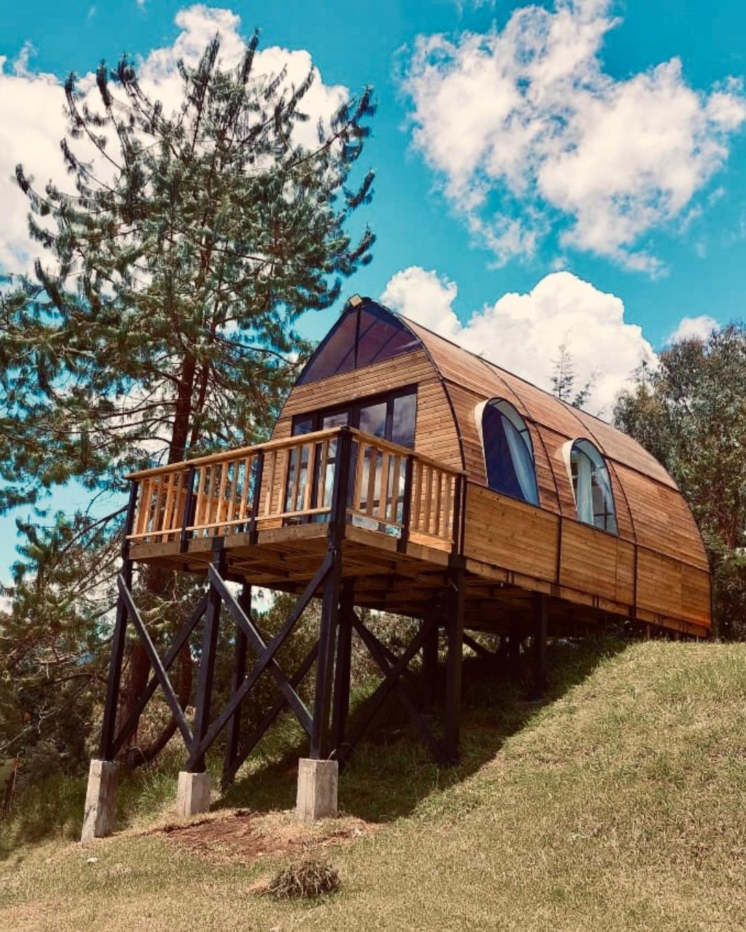 Cabaña elevada de madera con terraza y ventanas en forma de arco, rodeada de árboles y cielo azul.