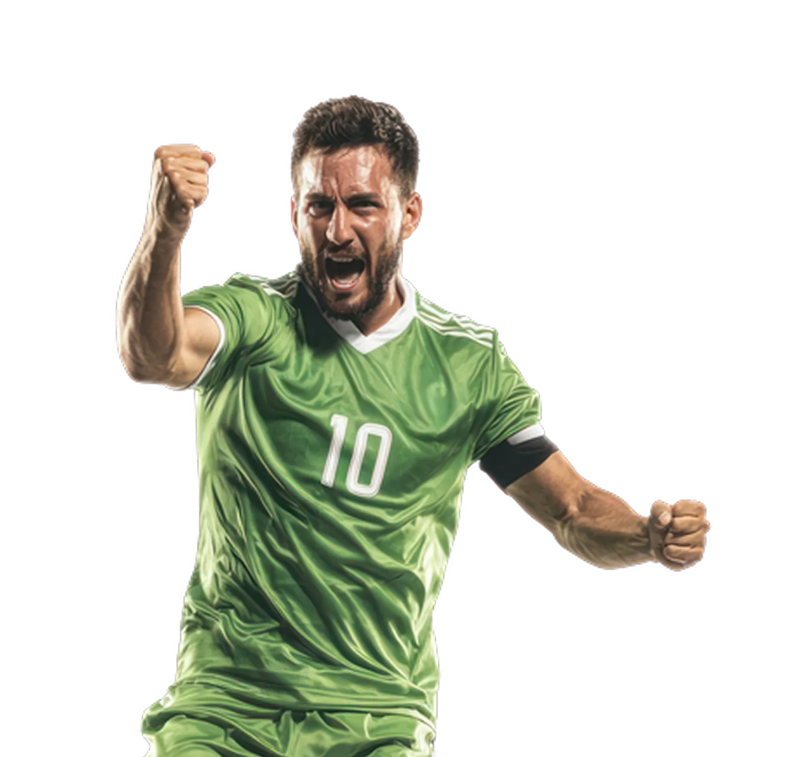 Fixture Member Image