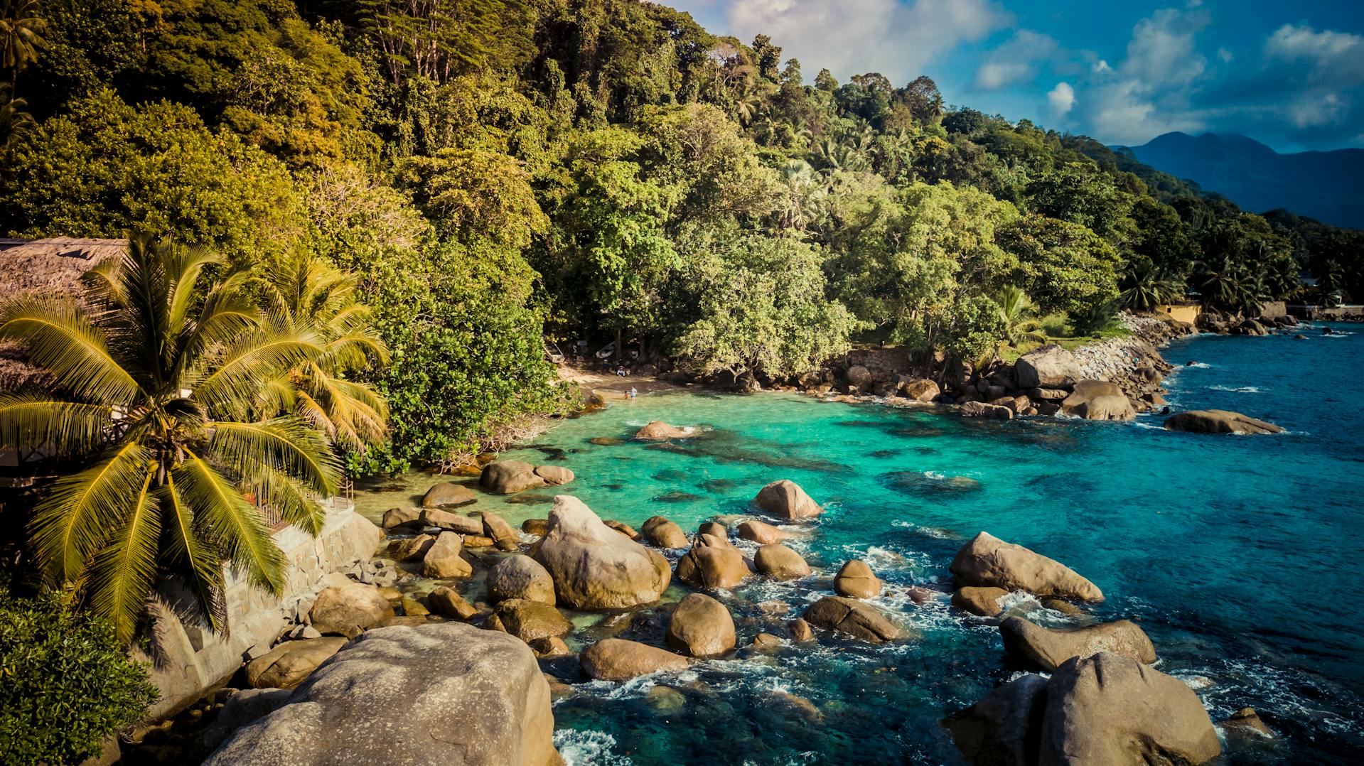 Secluded Seychelles bay featuring rocks, lush palm trees, and calm tropical waters