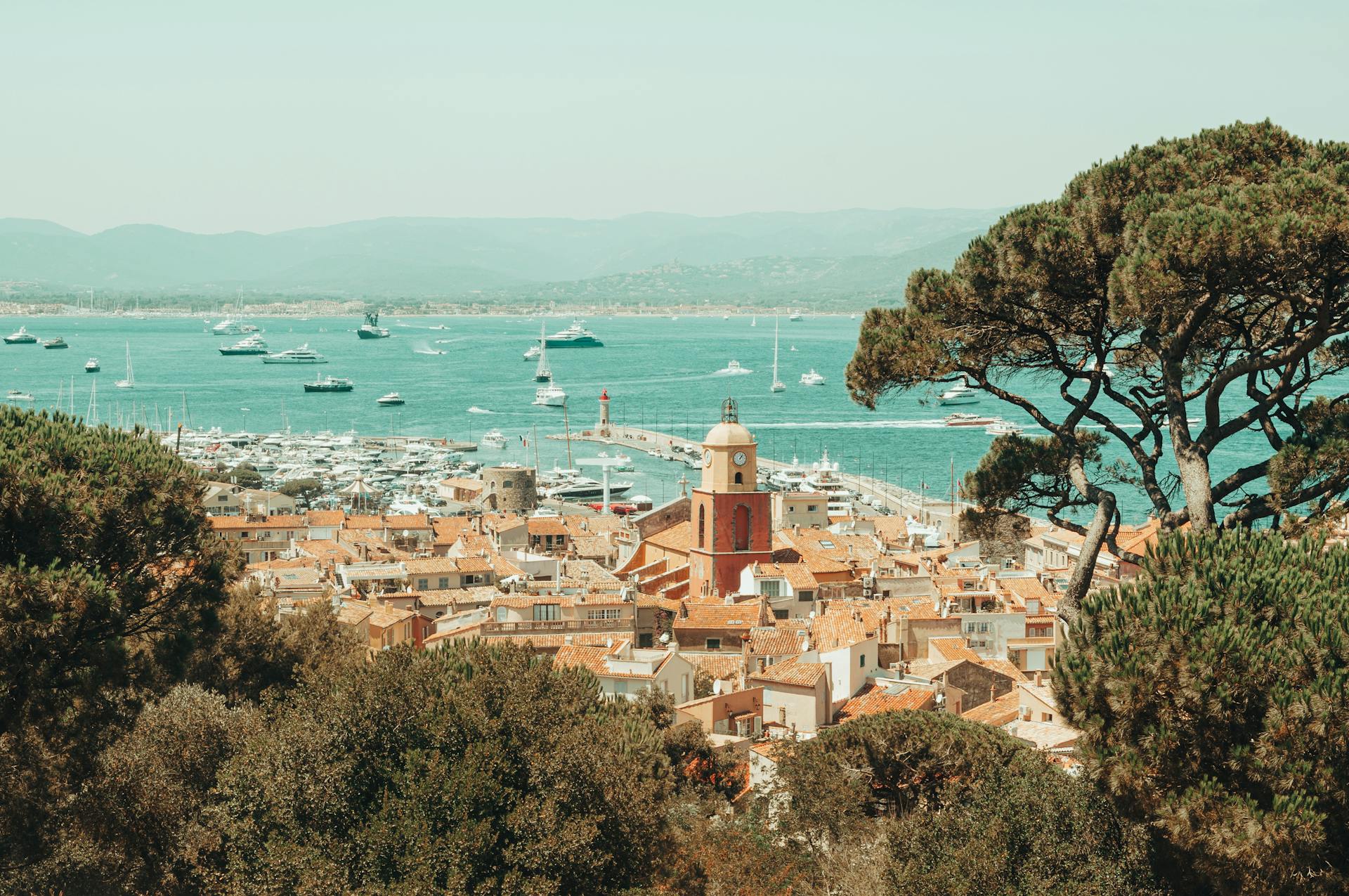 View of Saint-Tropez bay with a tree in the foreground and the calm sea stretching out in the background under a clear sky