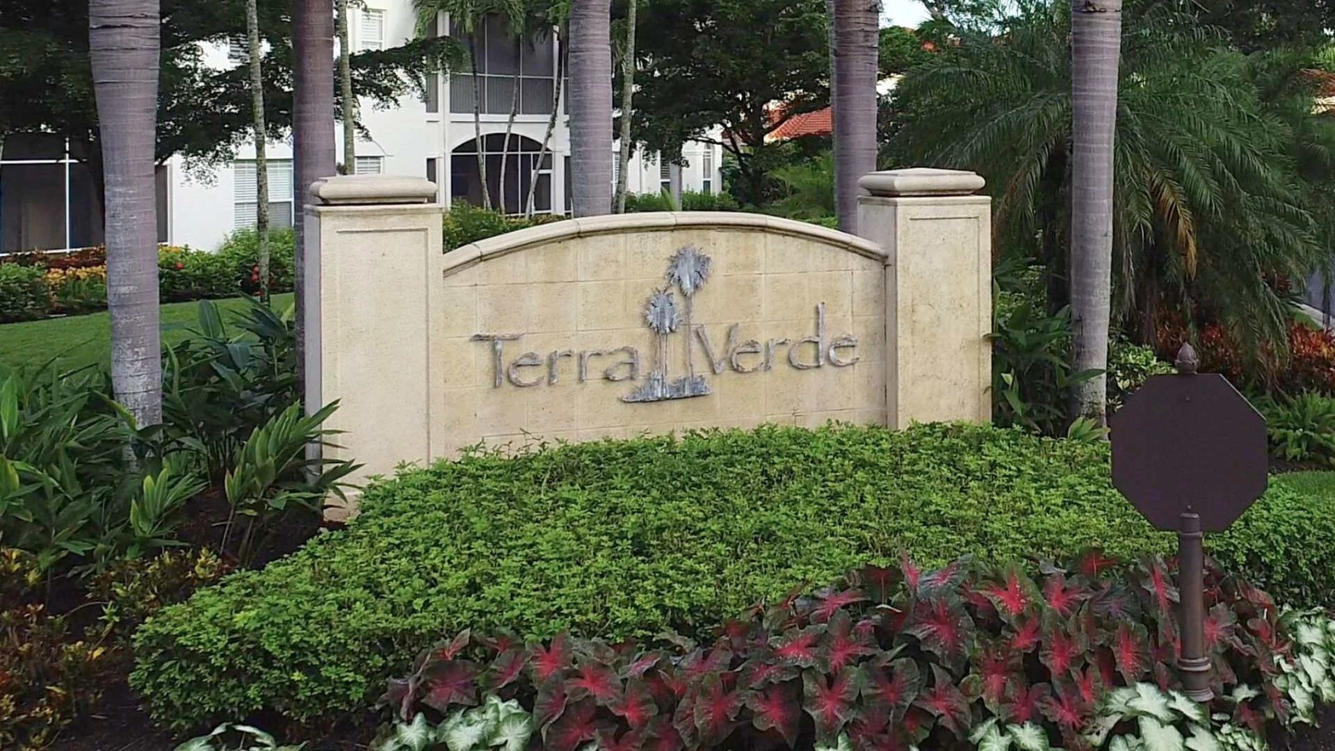 Terra Verde