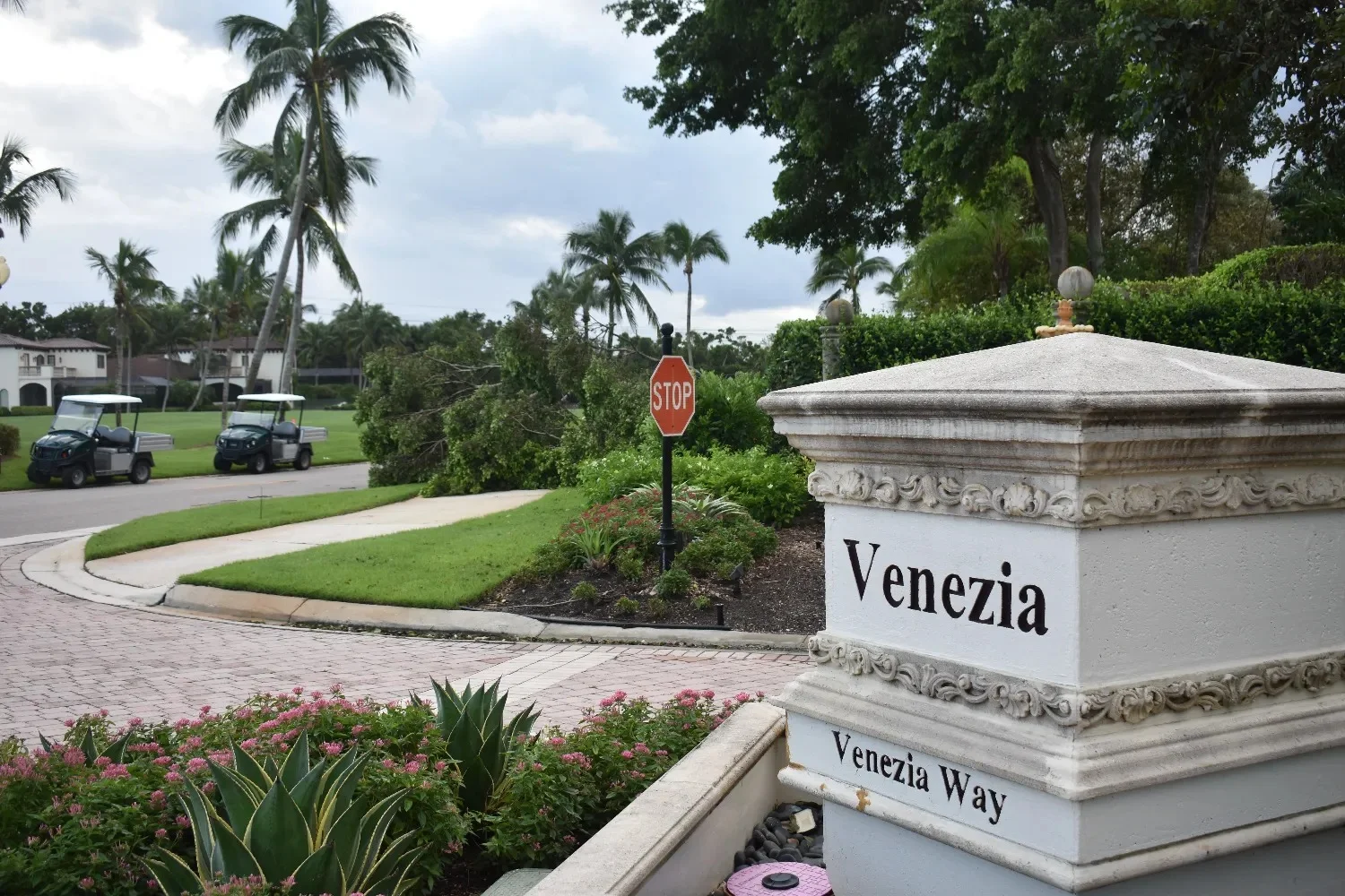 Venezia With fallen tree