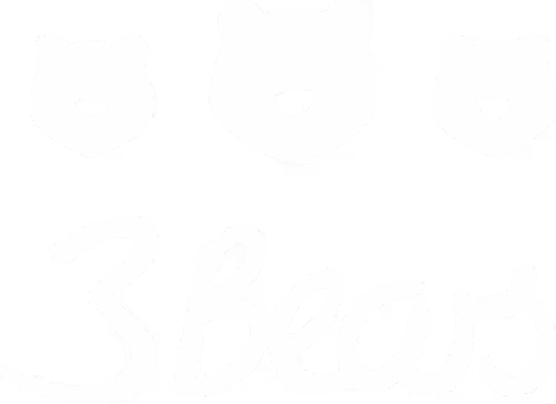 3Bears