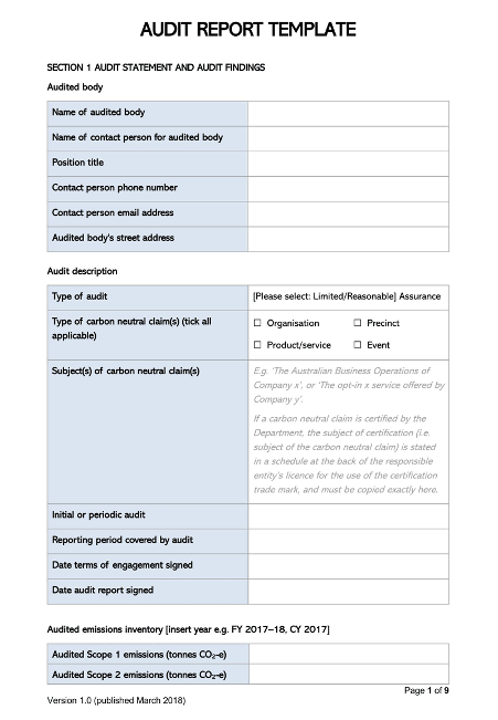 audit report template