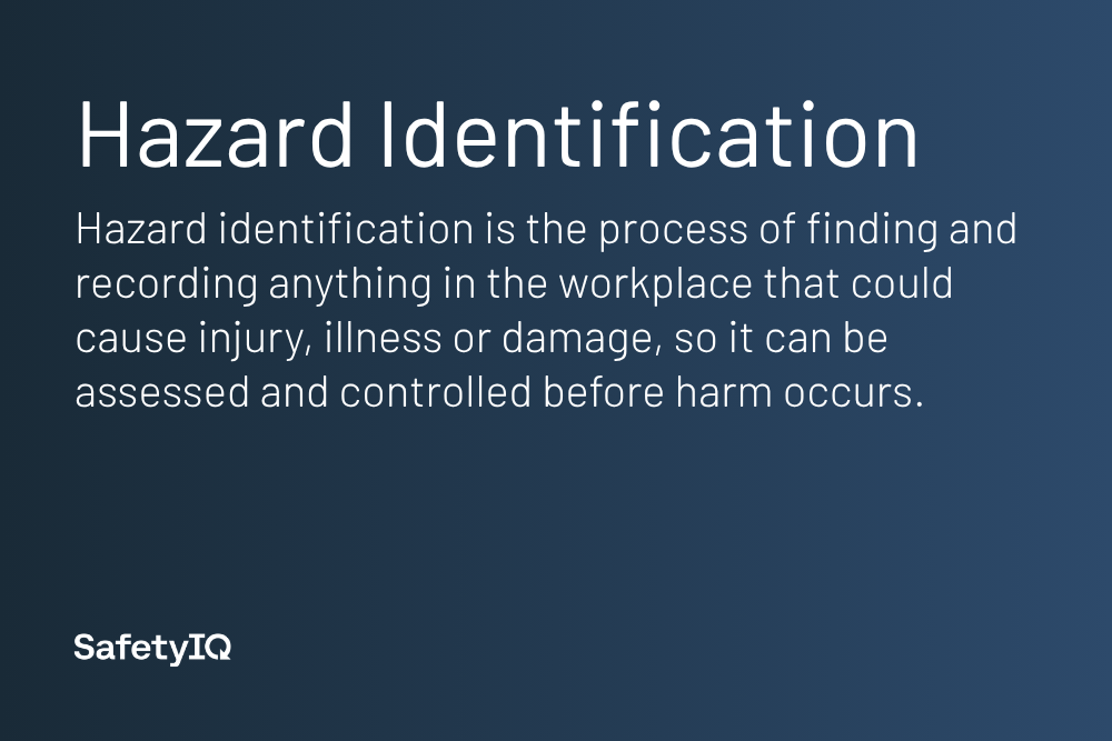 Hazard Identification definition