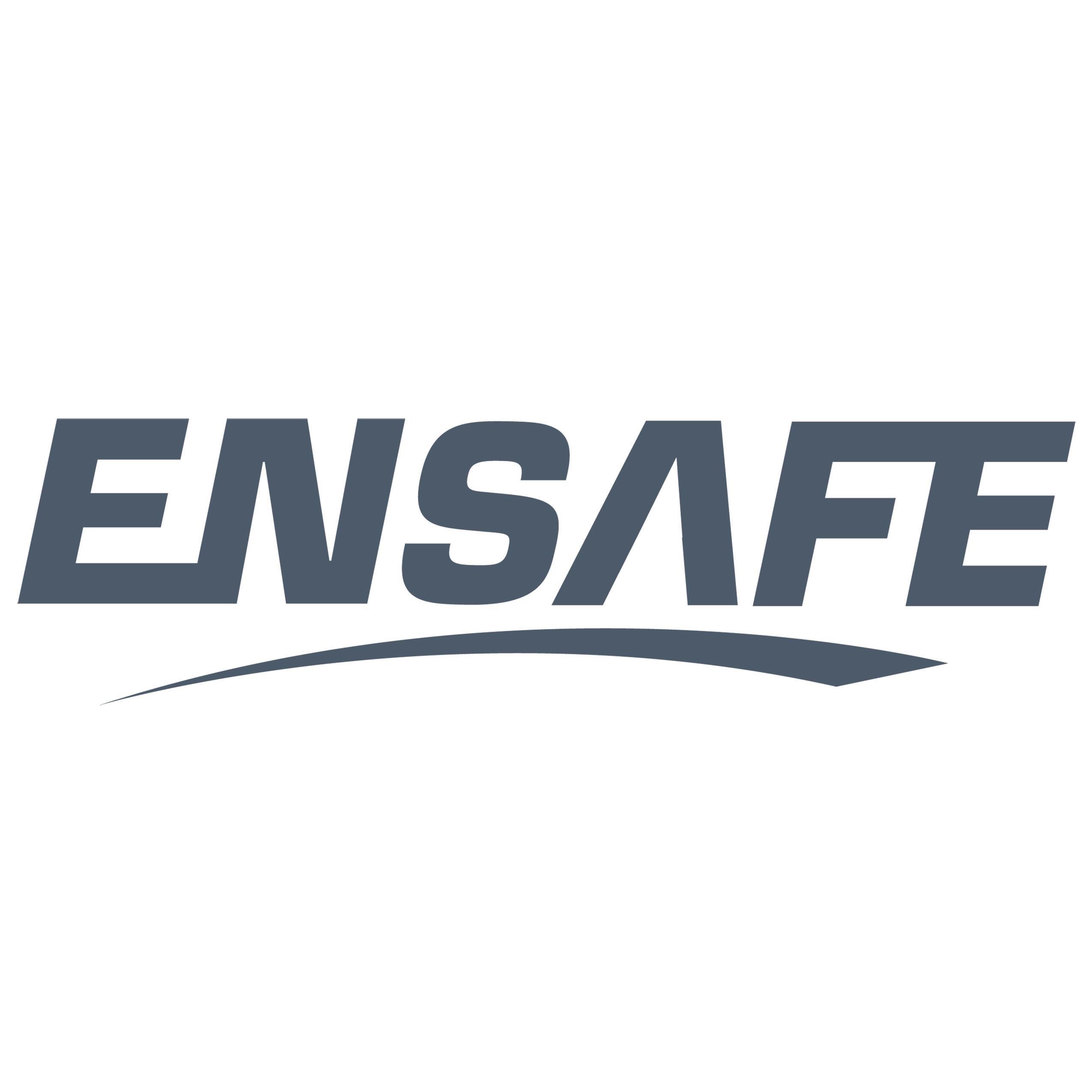 EnSafe