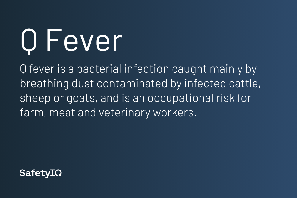 Q fever definition card