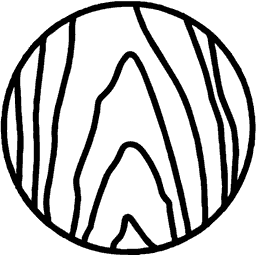 Logo Icon