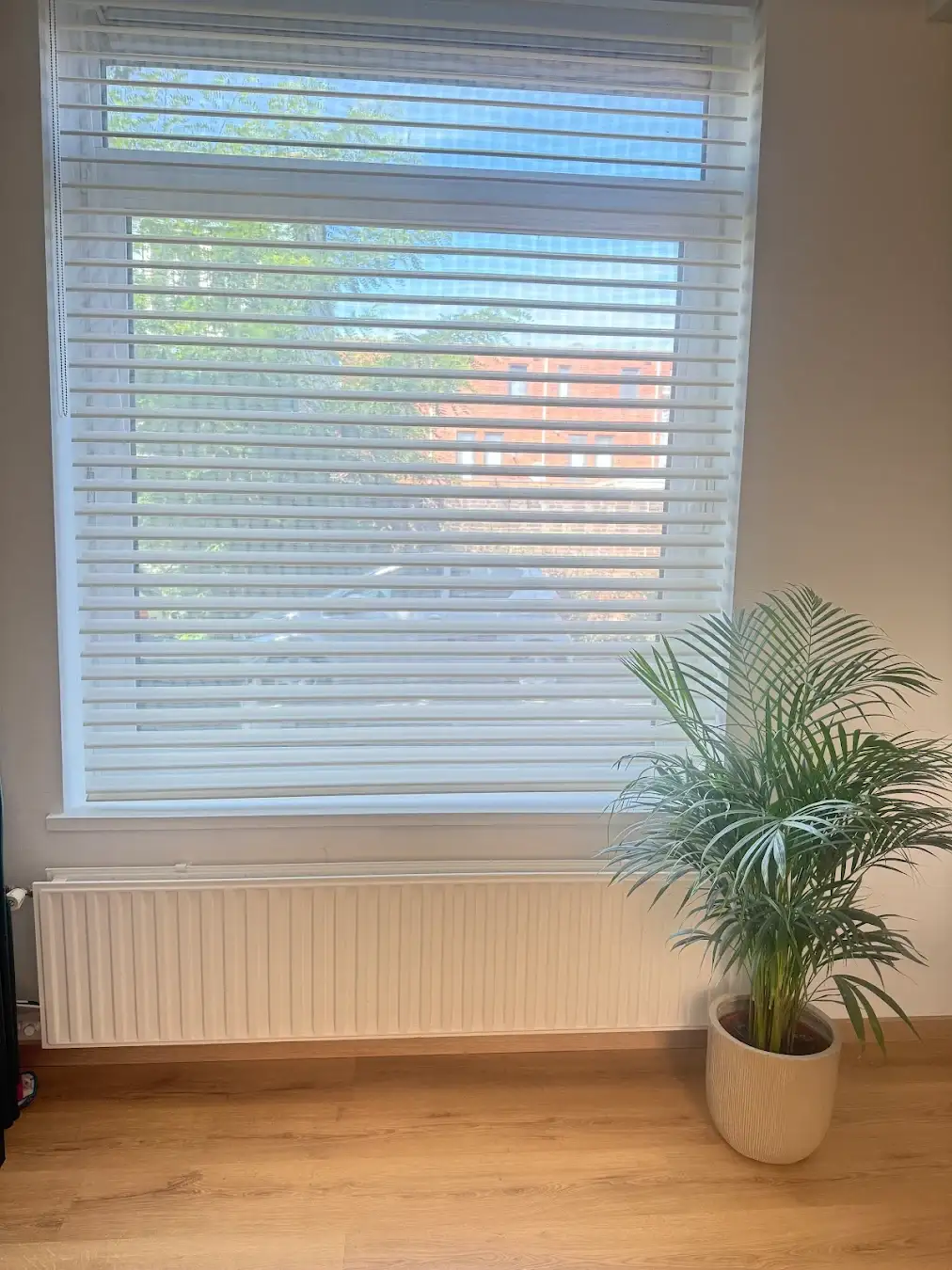 Een groen kamerplant in een pot naast een grote raam met witte jaloezieën en een witte radiator erbovenop een houten vloer.