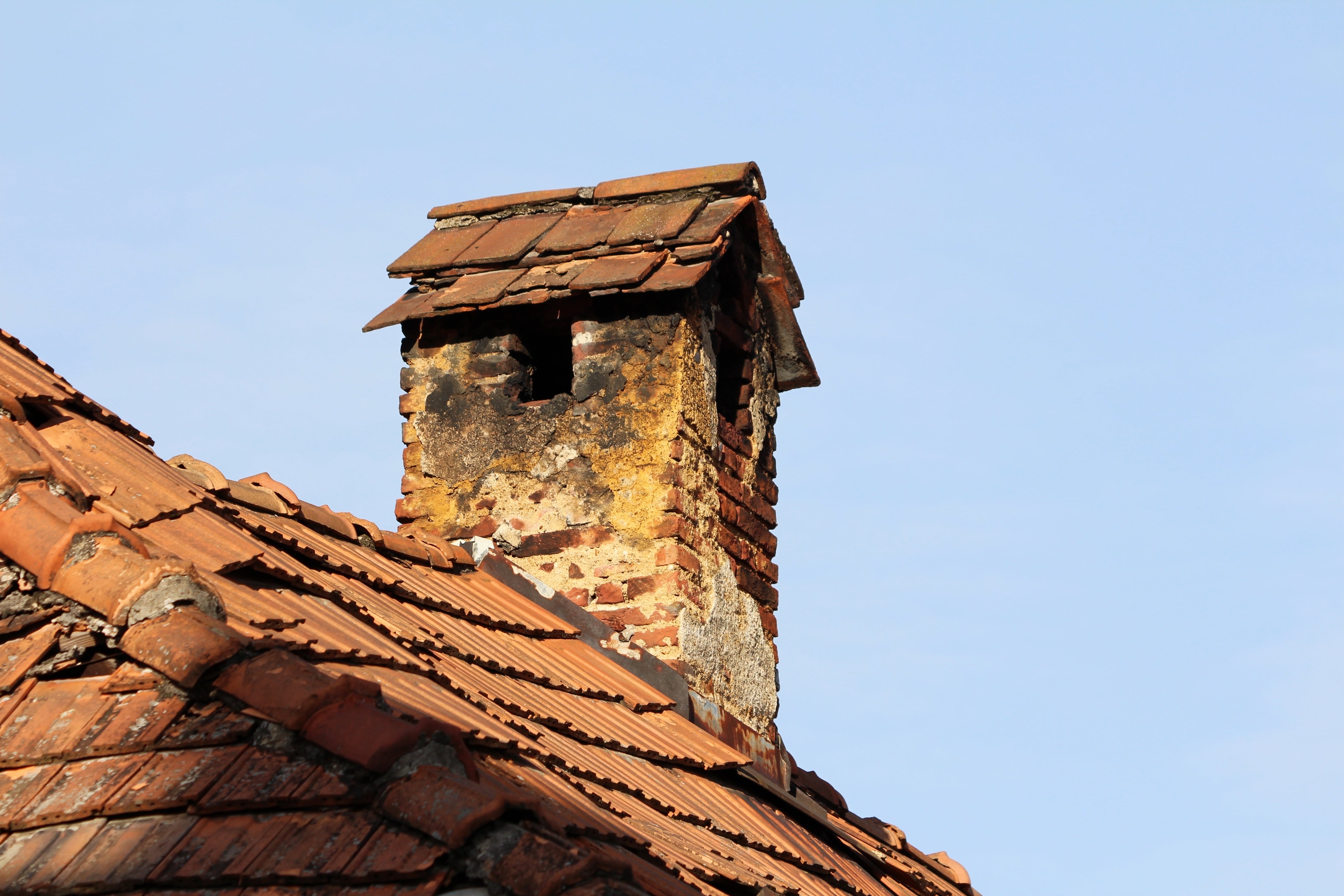 Service Category Section Image