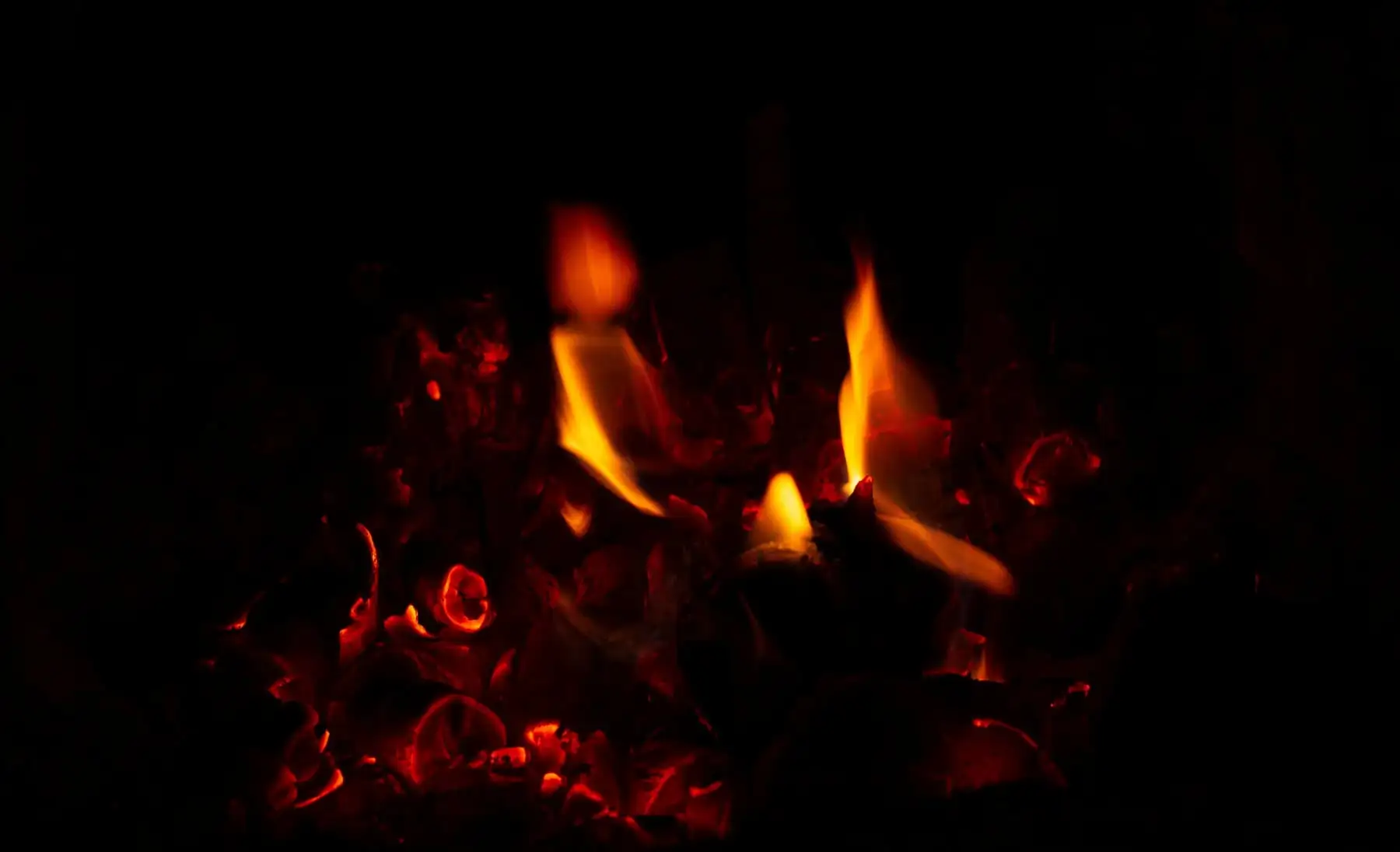 LightBox Image
