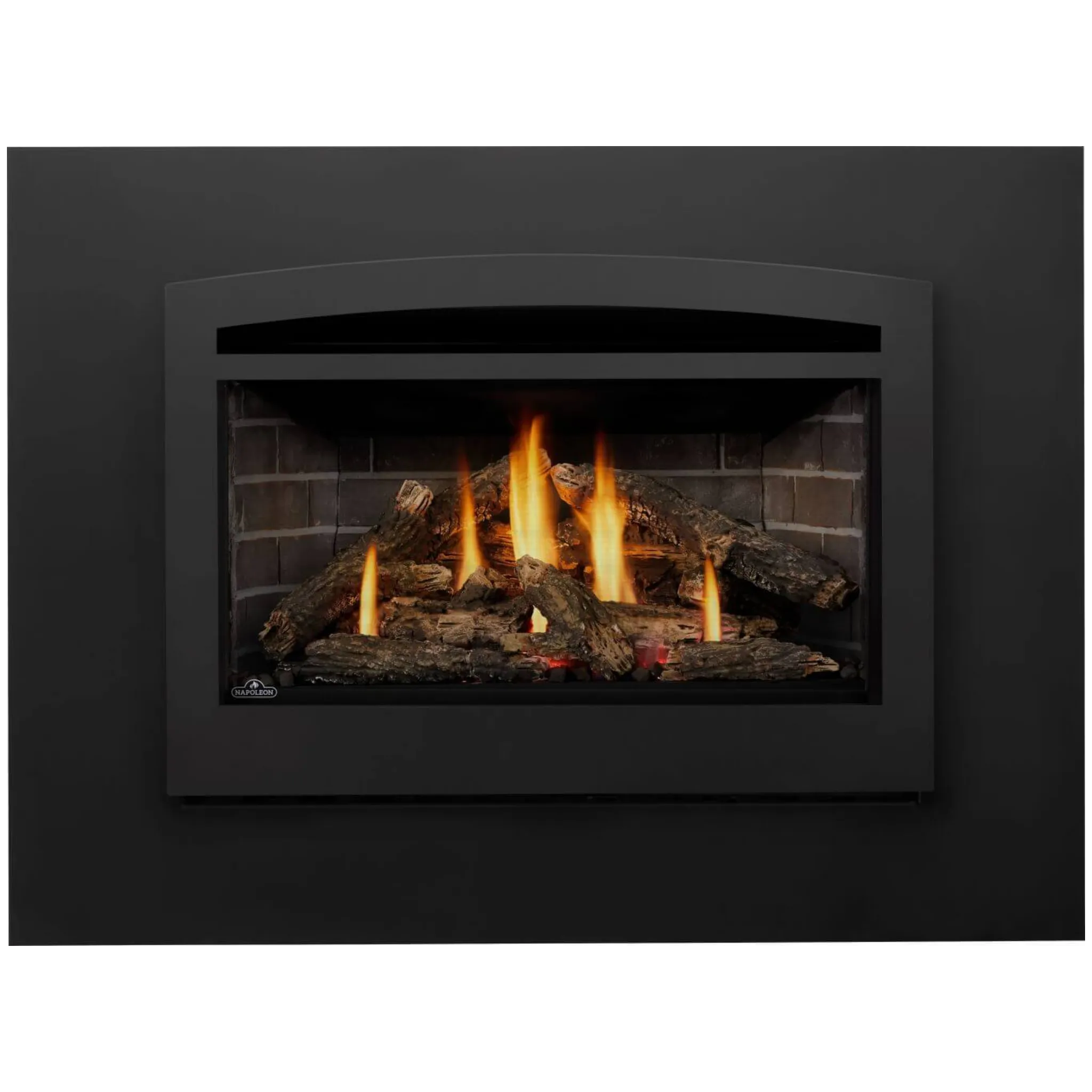 Napoleon Rosedale 3 direct vent gas fireplace insert