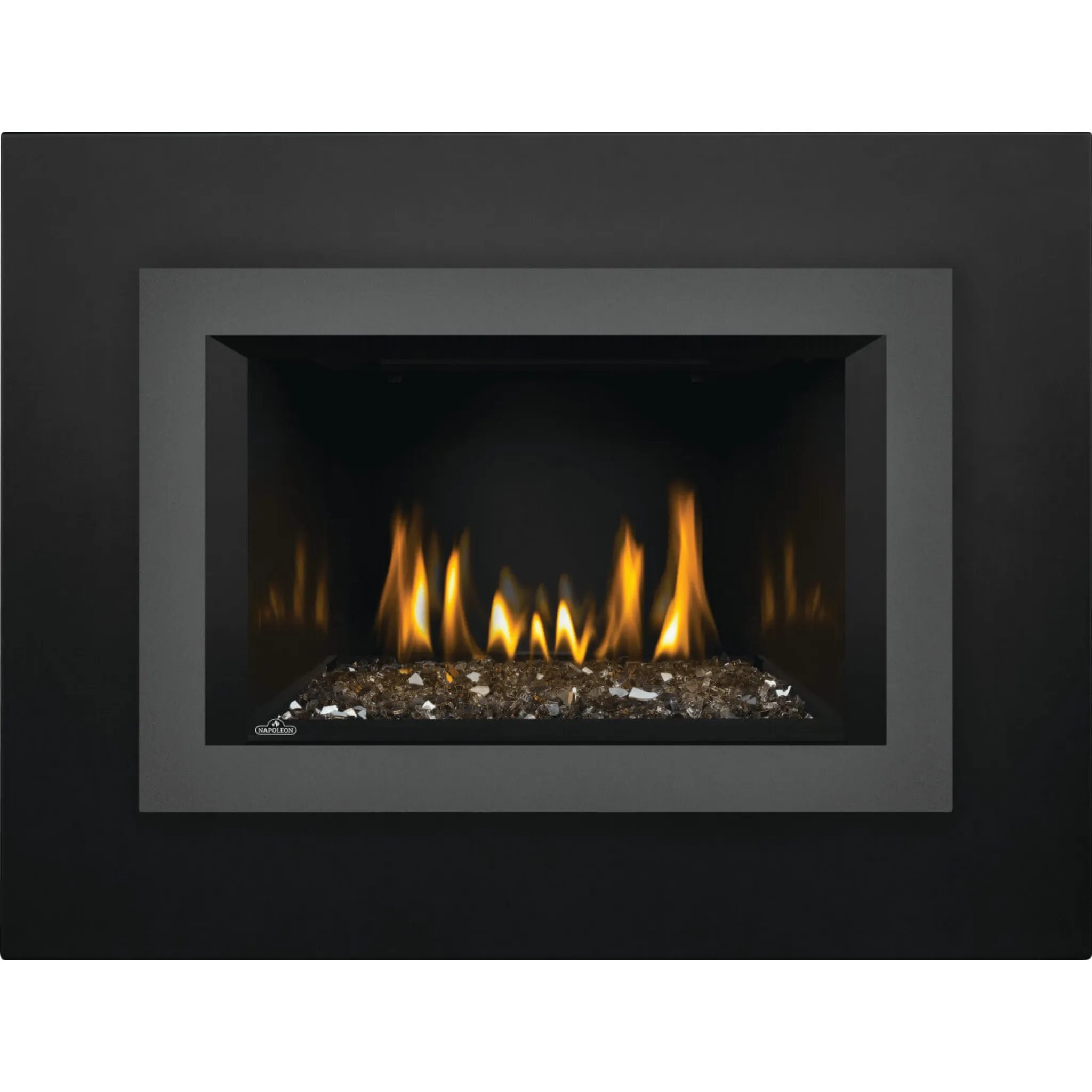 Napoleon Oakville direct vent gas fireplace insert